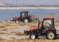 營(yíng)口：葦塘里的全程（紀(jì)實(shí)）